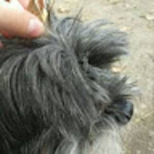 Meet your Posher, Lillian